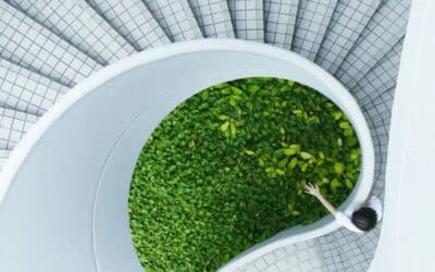 The Green Blueprint of Sustainable Construction Methods