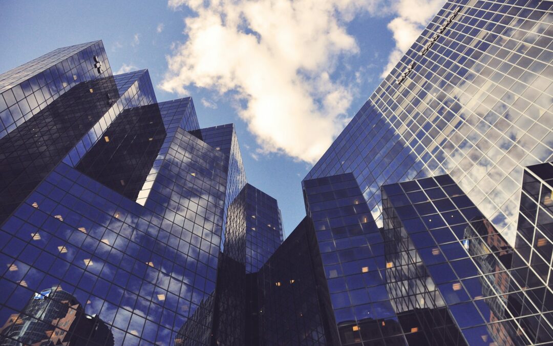 Navigating the Essentials of Commercial Business With South Coast Improvement
