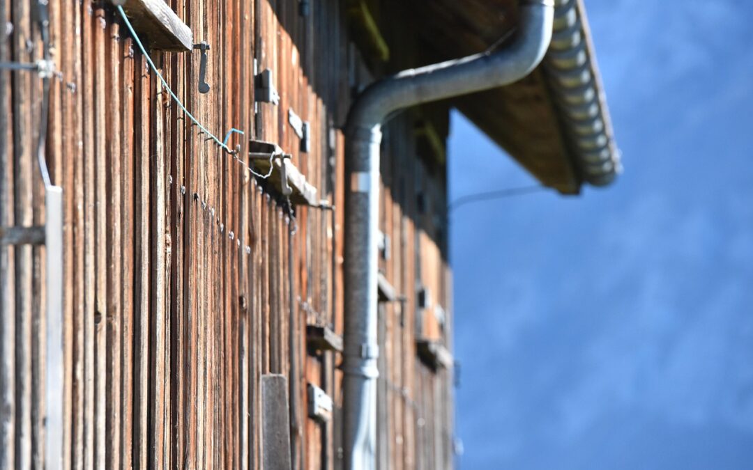 Comprehensive Guide to Exterior Cladding for Your Next Building Project
