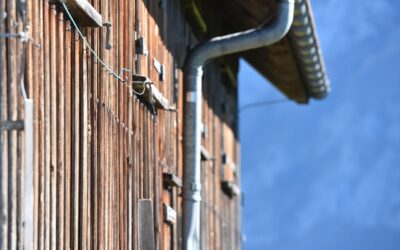 Comprehensive Guide to Exterior Cladding for Your Next Building Project