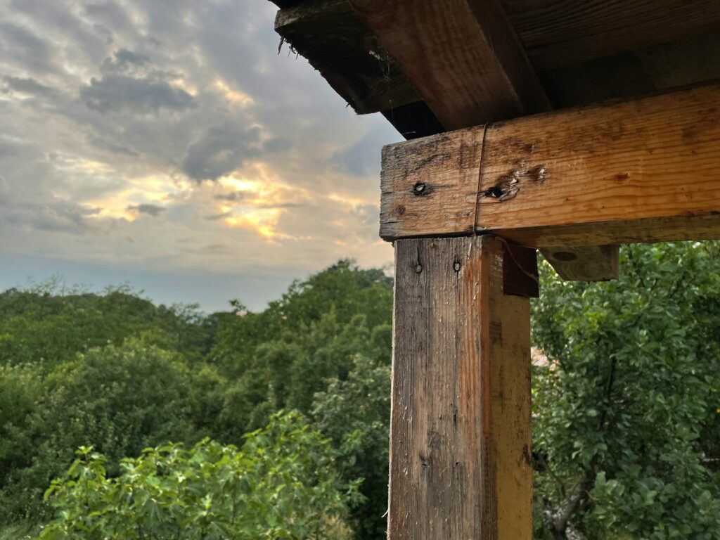 a birdhouse with a bird in it