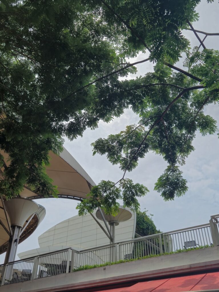 a view of a building through some trees