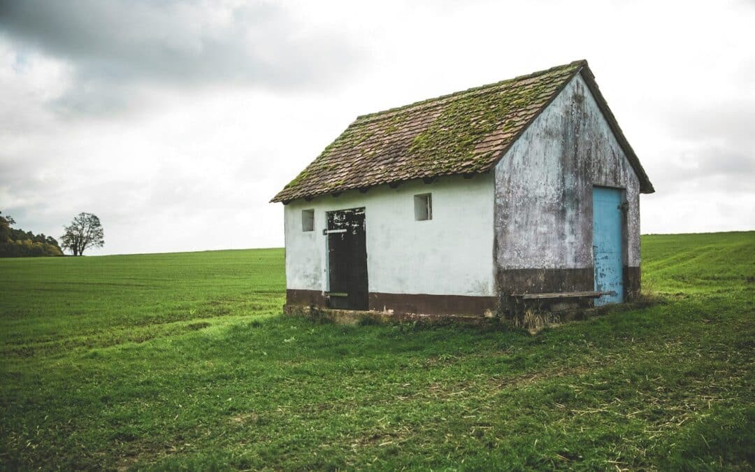 Navigating Housing Disrepair | The Essential Guide for Property Owners and Real Estate Professionals