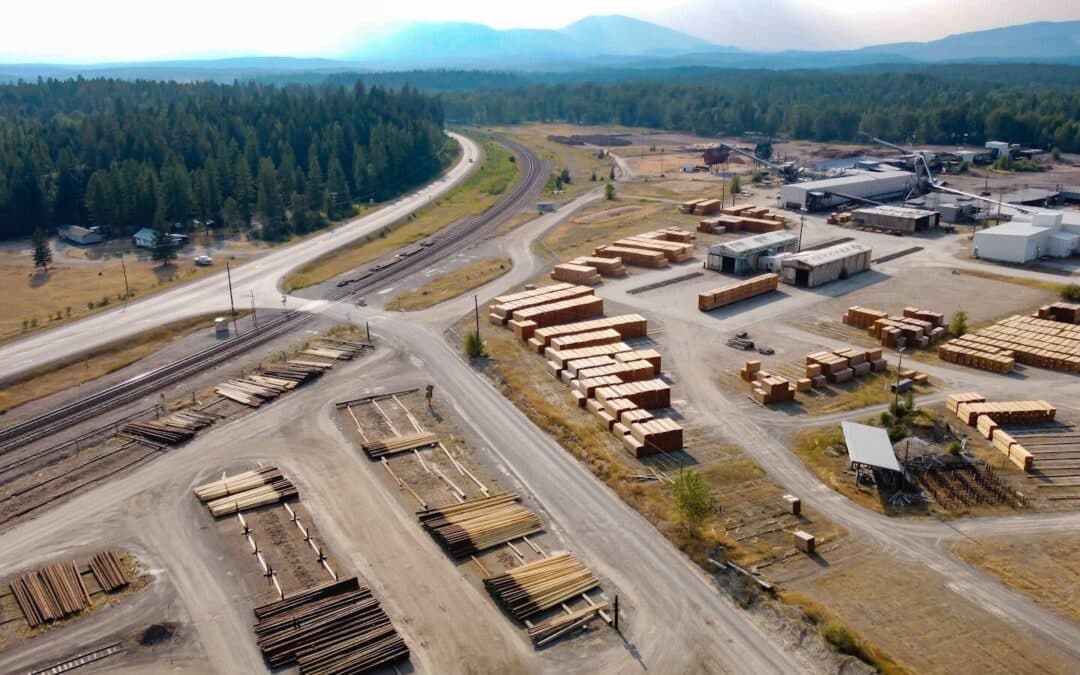 The Essential Guide to Types of Buildings and Construction