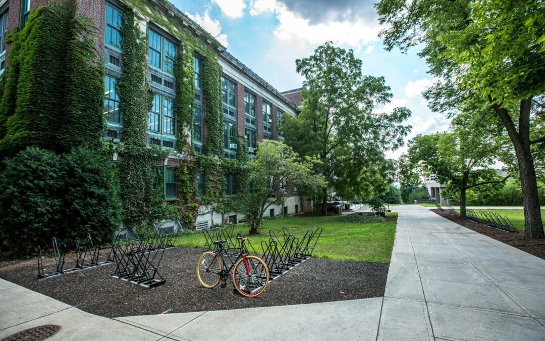 Understanding the 7 Key Types of Construction for Your Next Project