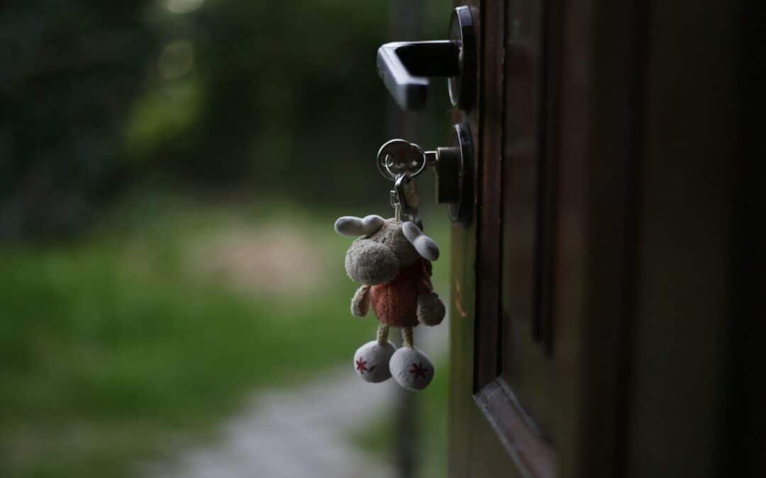 Why Real Estate Developer Should Partner With South Coast Improvement Company