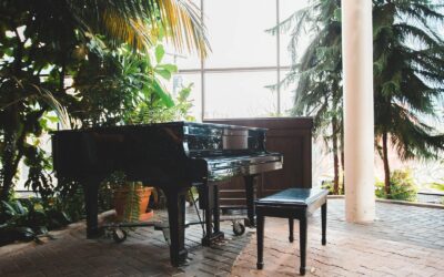 Conservatory Construction in Hospital Development: What Owners Need to Know